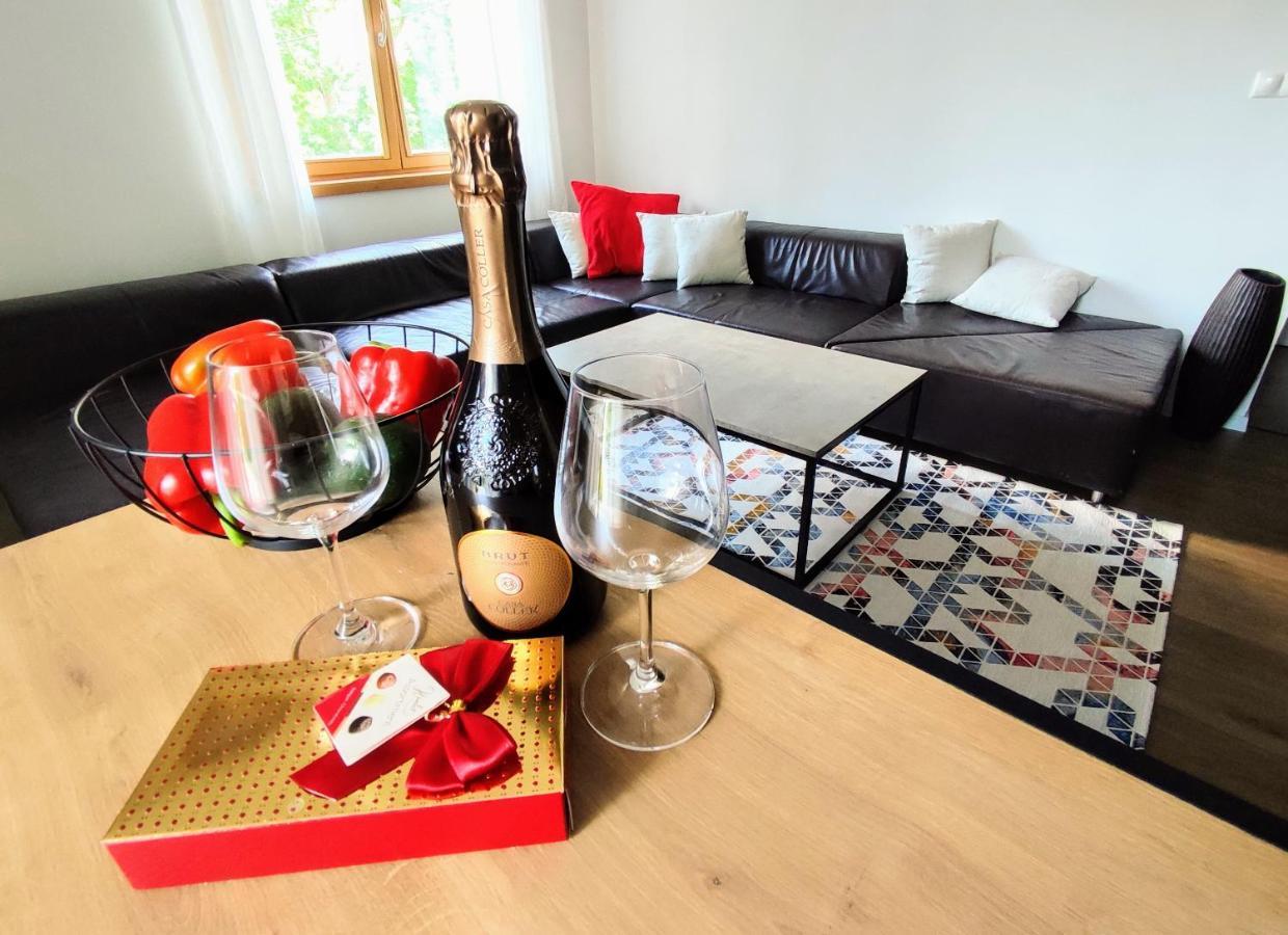 Panorama Park & Free Parking Apartment Zilina